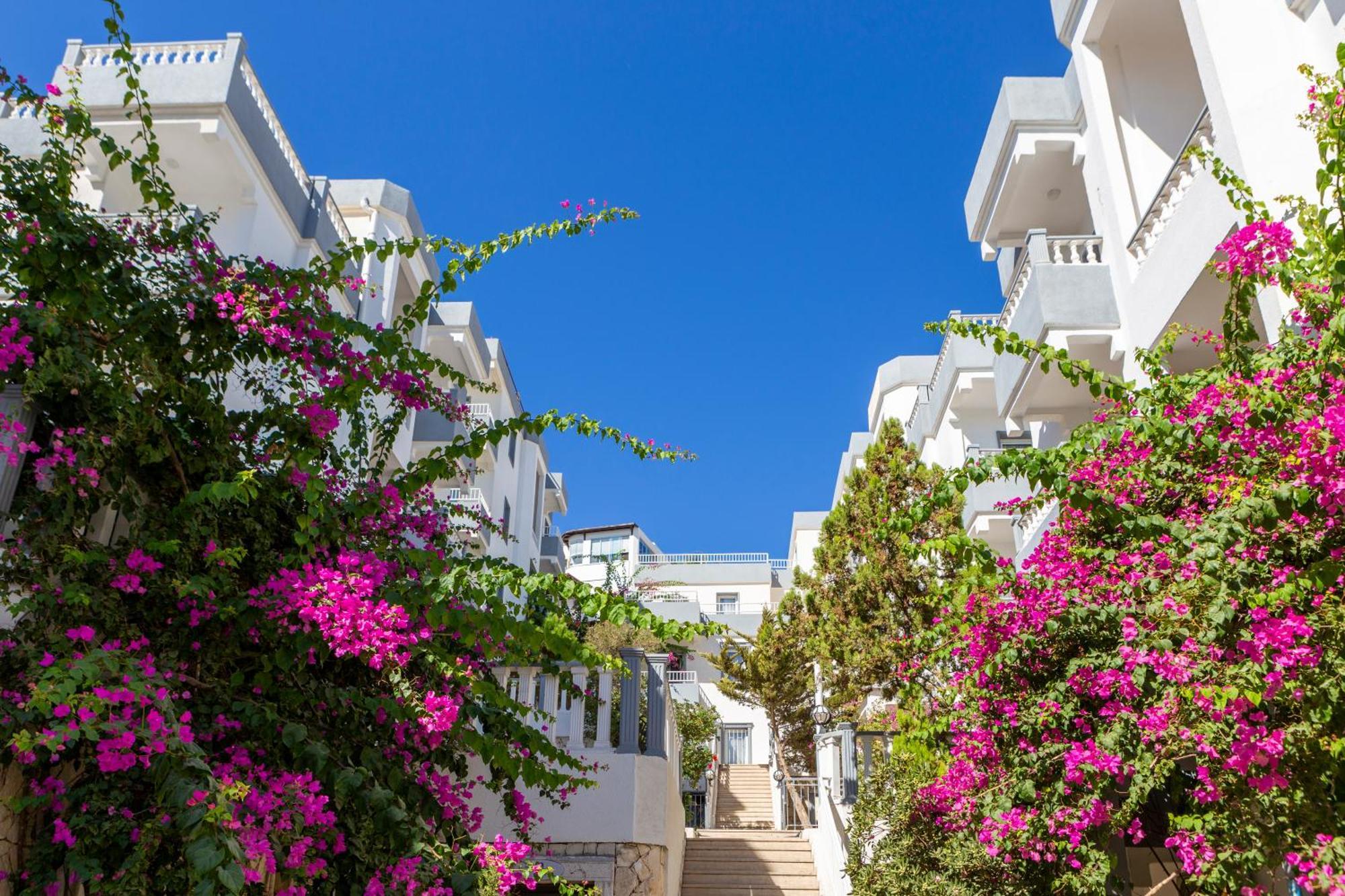 Smart Holiday Hotel Bodrum ビテツ エクステリア 写真